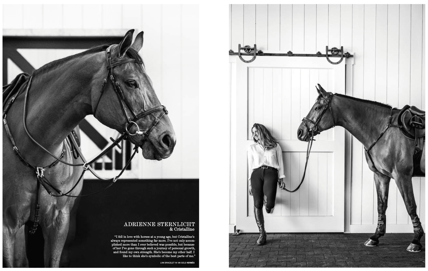 Palmer Magazine — Horses and Riders