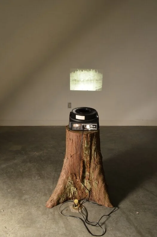 04 Fragments  Bucolic.JPG