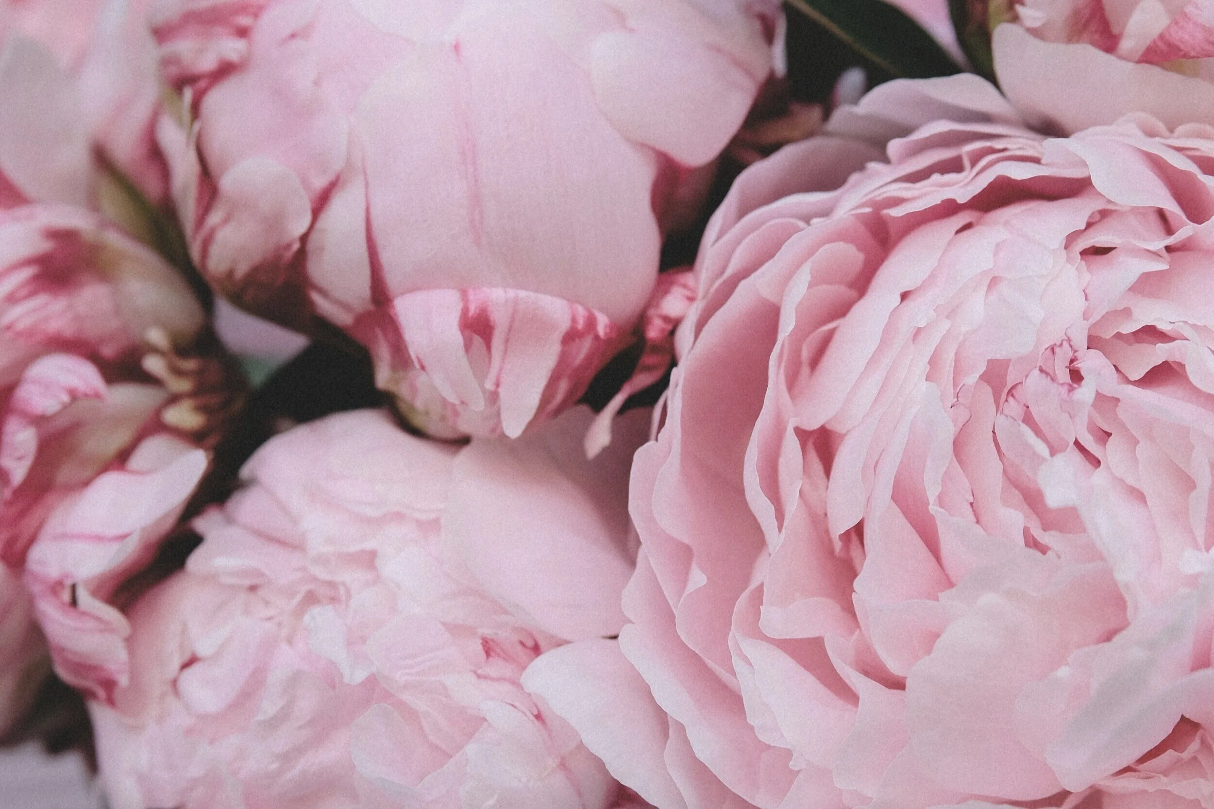 The Next Right Thing