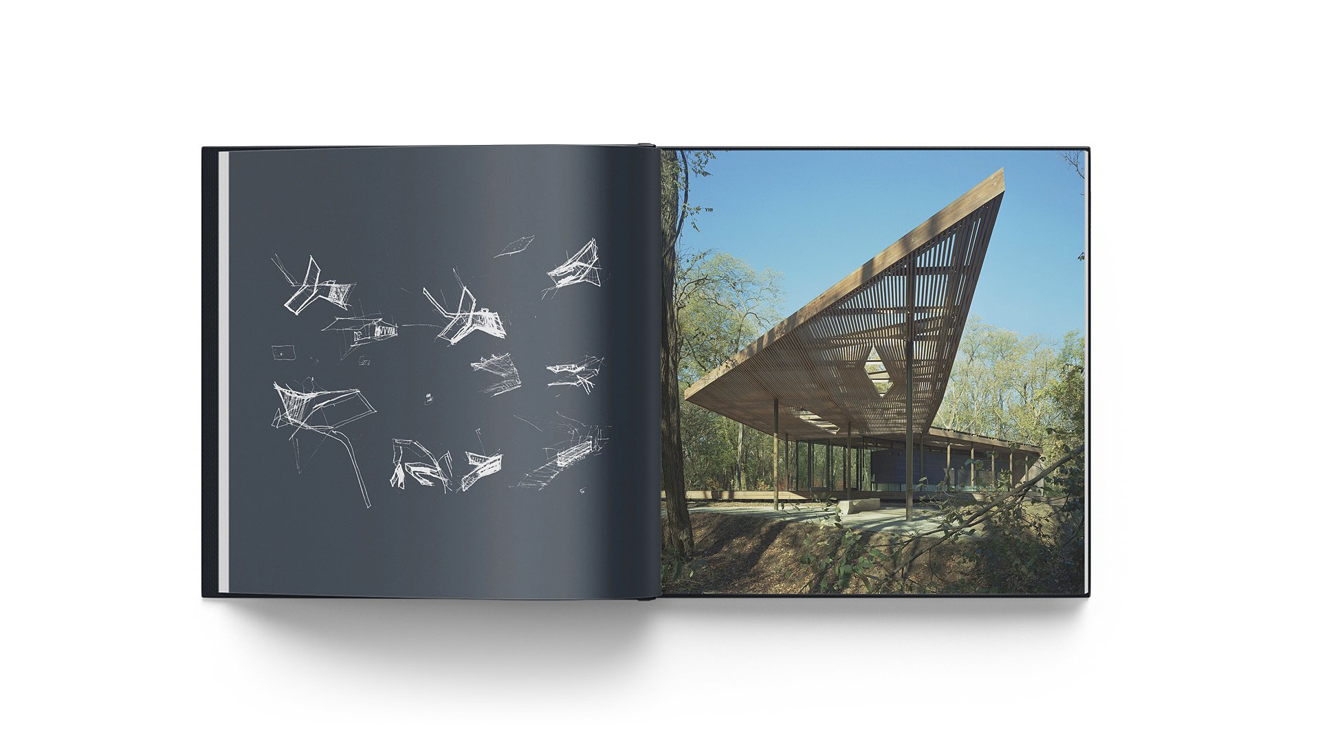 Radical Practice interior spread