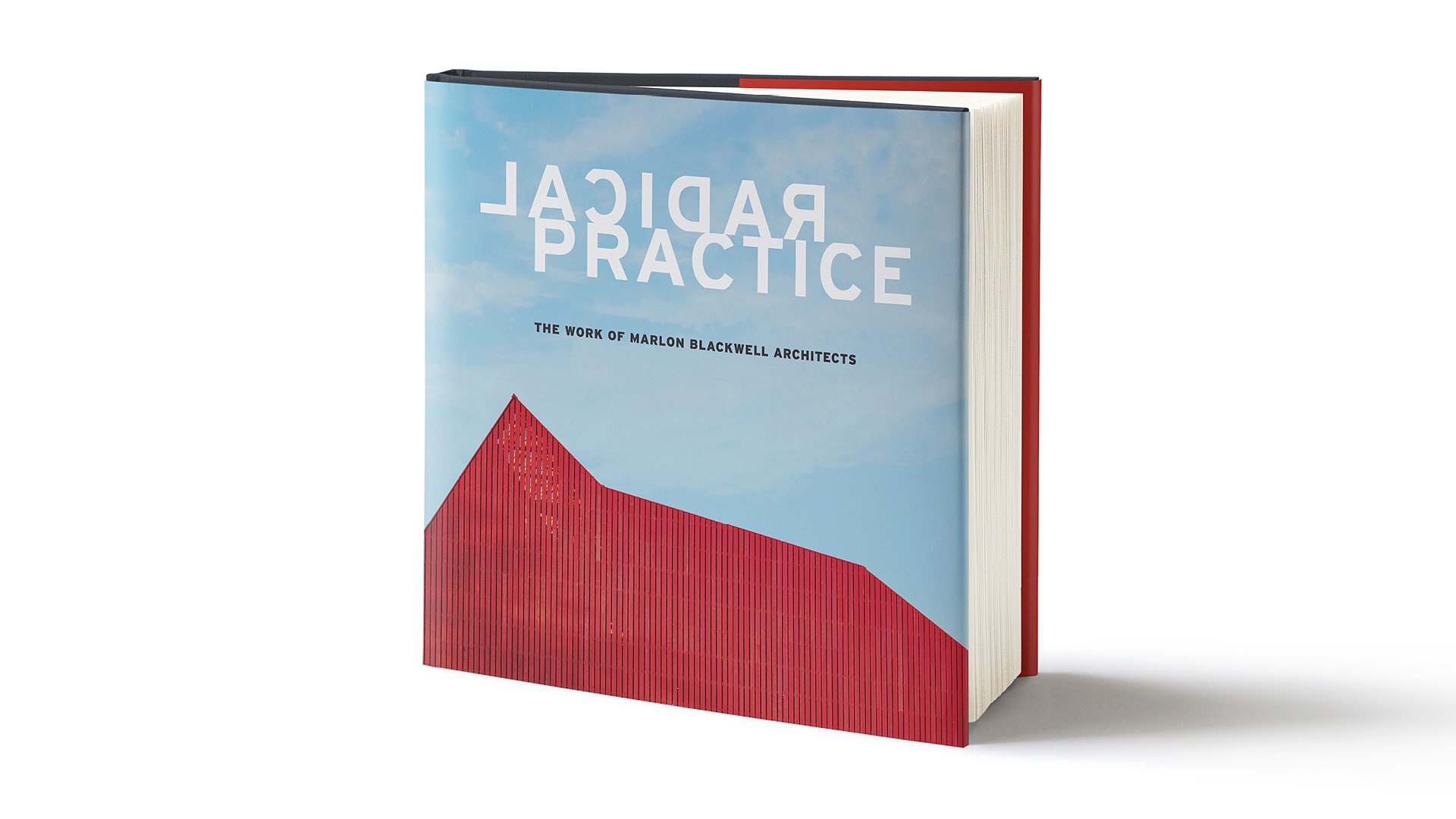 Radical Practice book
