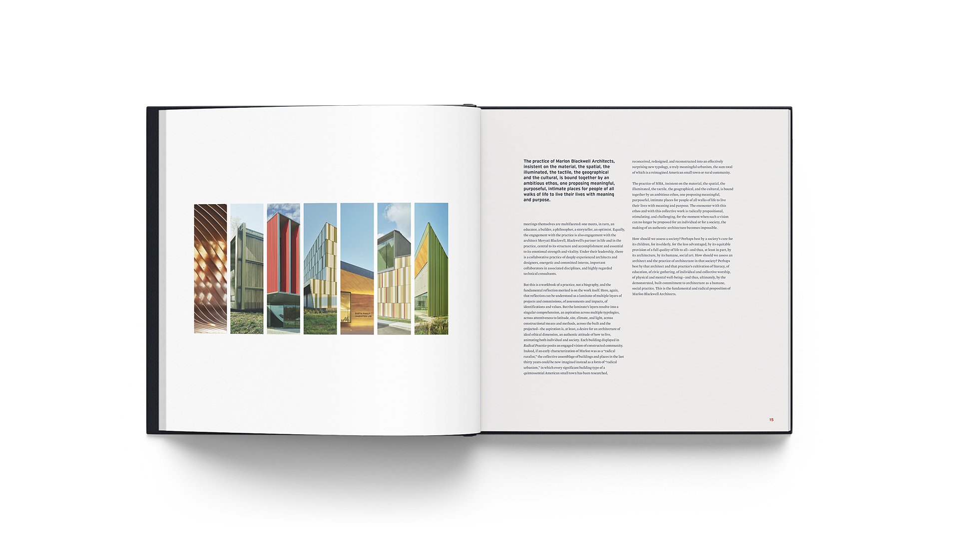 Radical Practice interior spread