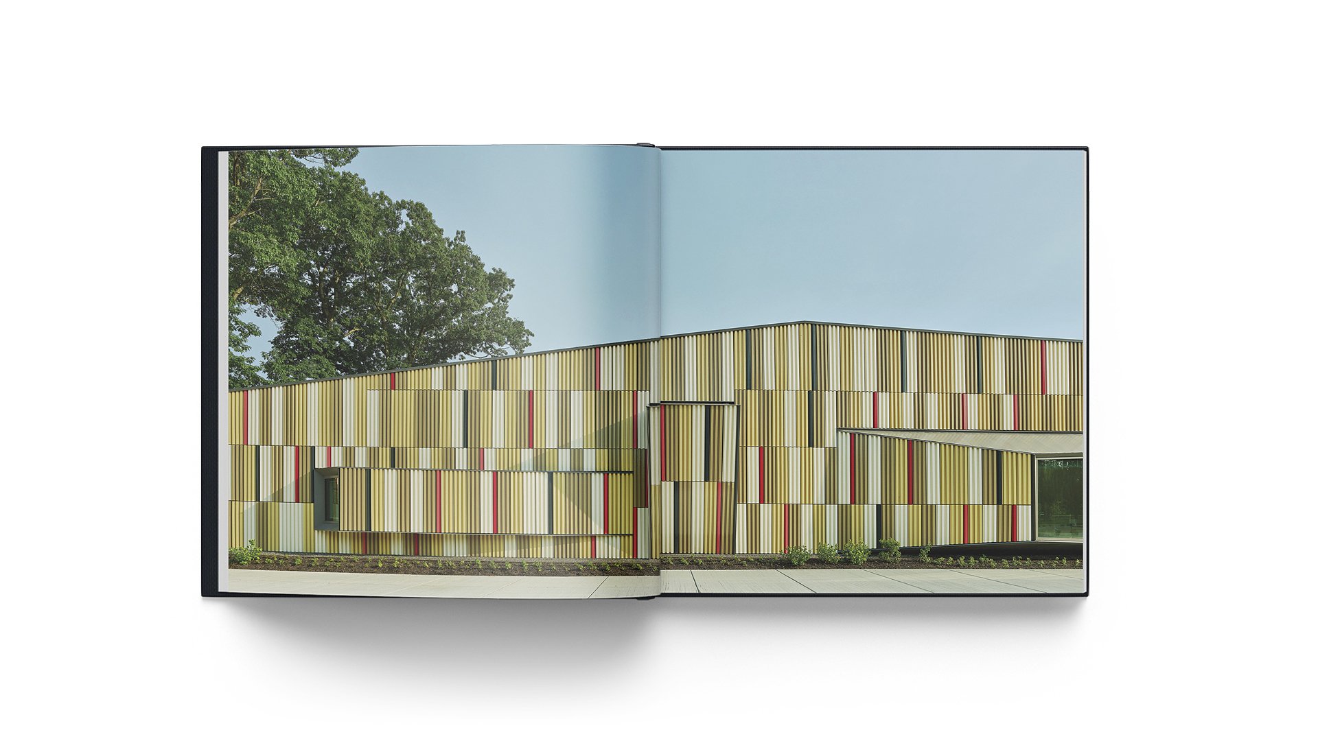 Radical Practice interior spread