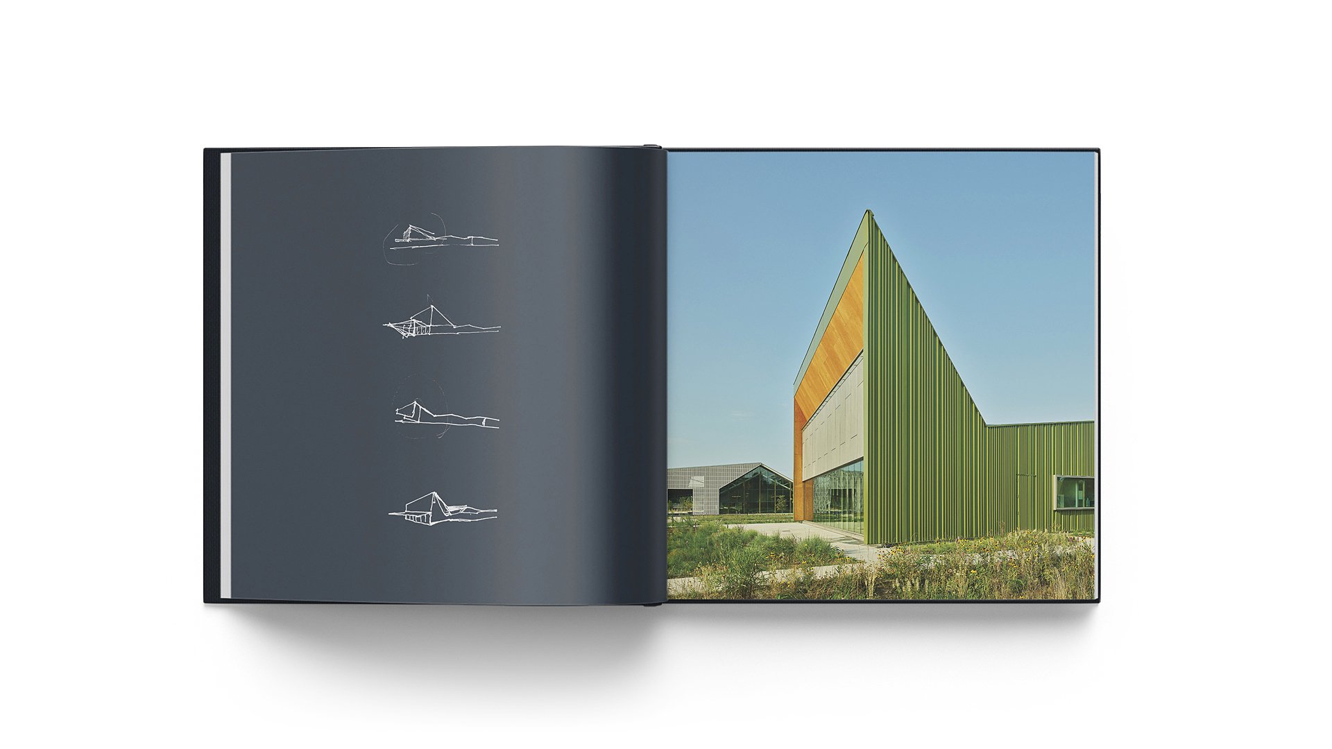 Radical Practice interior spread