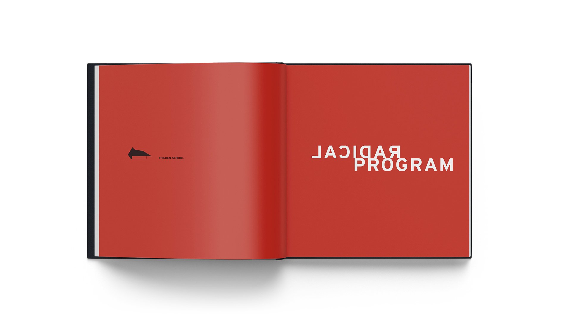 Radical Practice interior spread