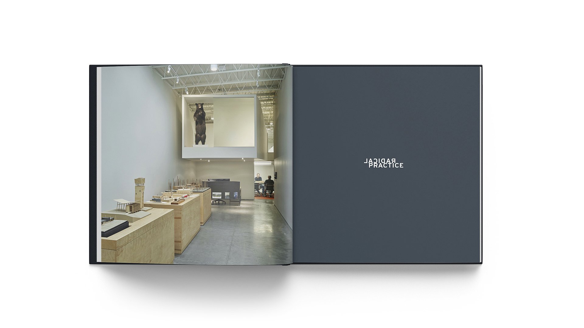Radical Practice interior spread