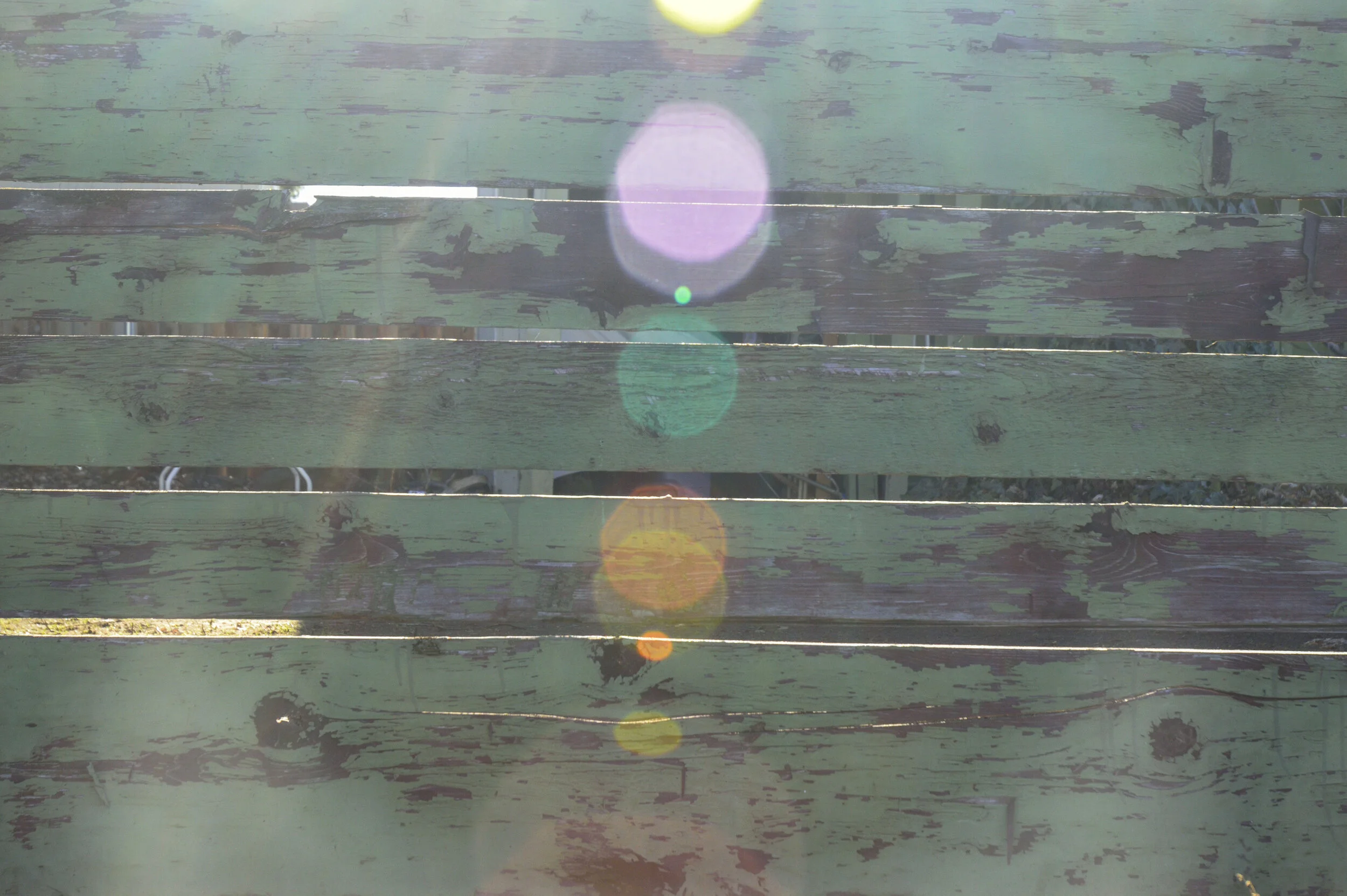 WraysofSunshine Winter.JPG