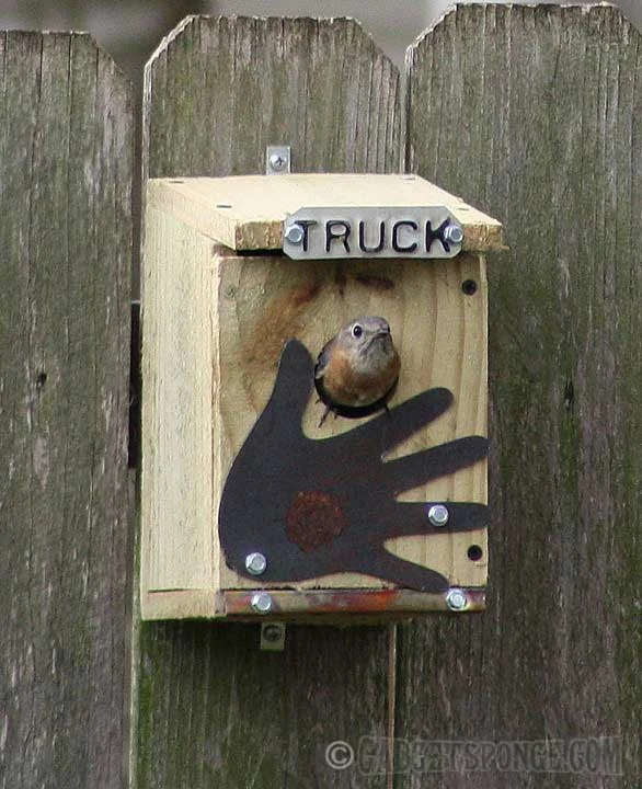 bluebirdintruckhouse.jpg
