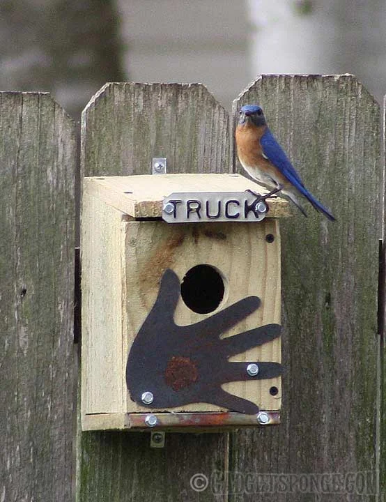 bluebirdontruckhouse2.jpg