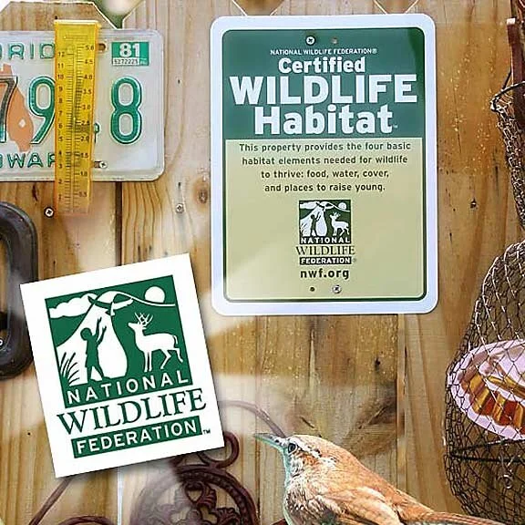Certify Your Backyard or Property as a Wildlife Habitat!