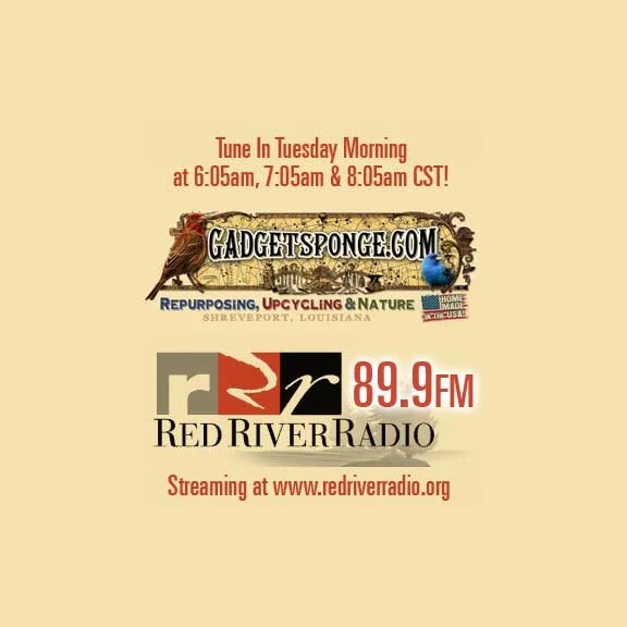 GadgetSponge.com On NPR Radio!