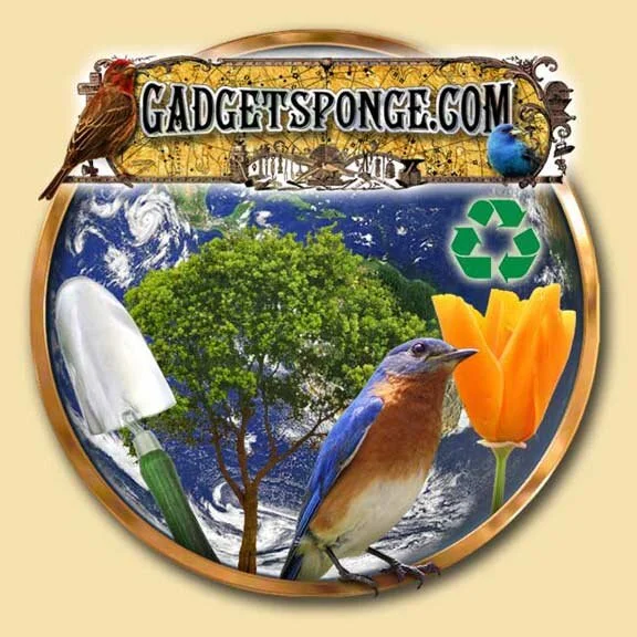 What will you do tomorrow?