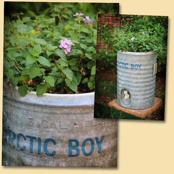 Water Cooler Container
