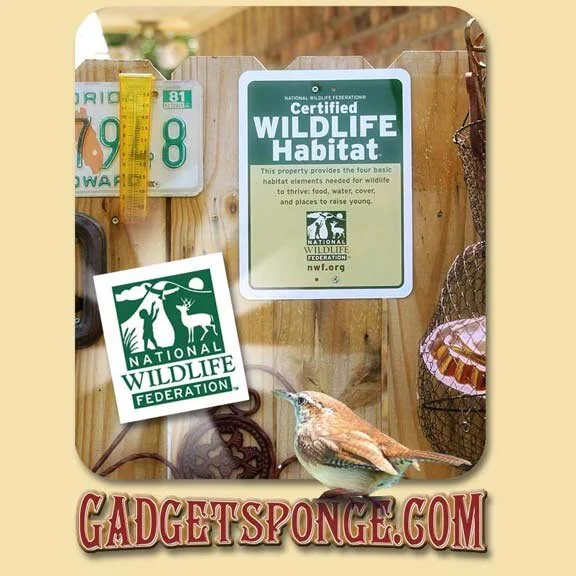 National Wildlife Federation Certified Habitat!