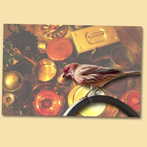 New Projects &amp; Creations