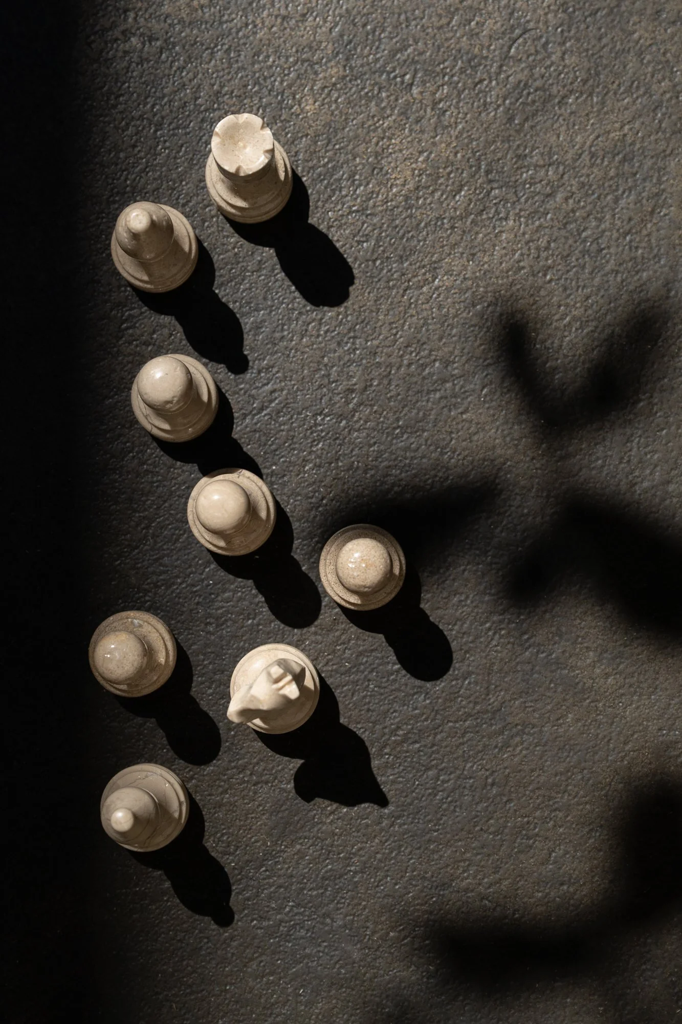 AANOVO HAR Web size-27.jpg