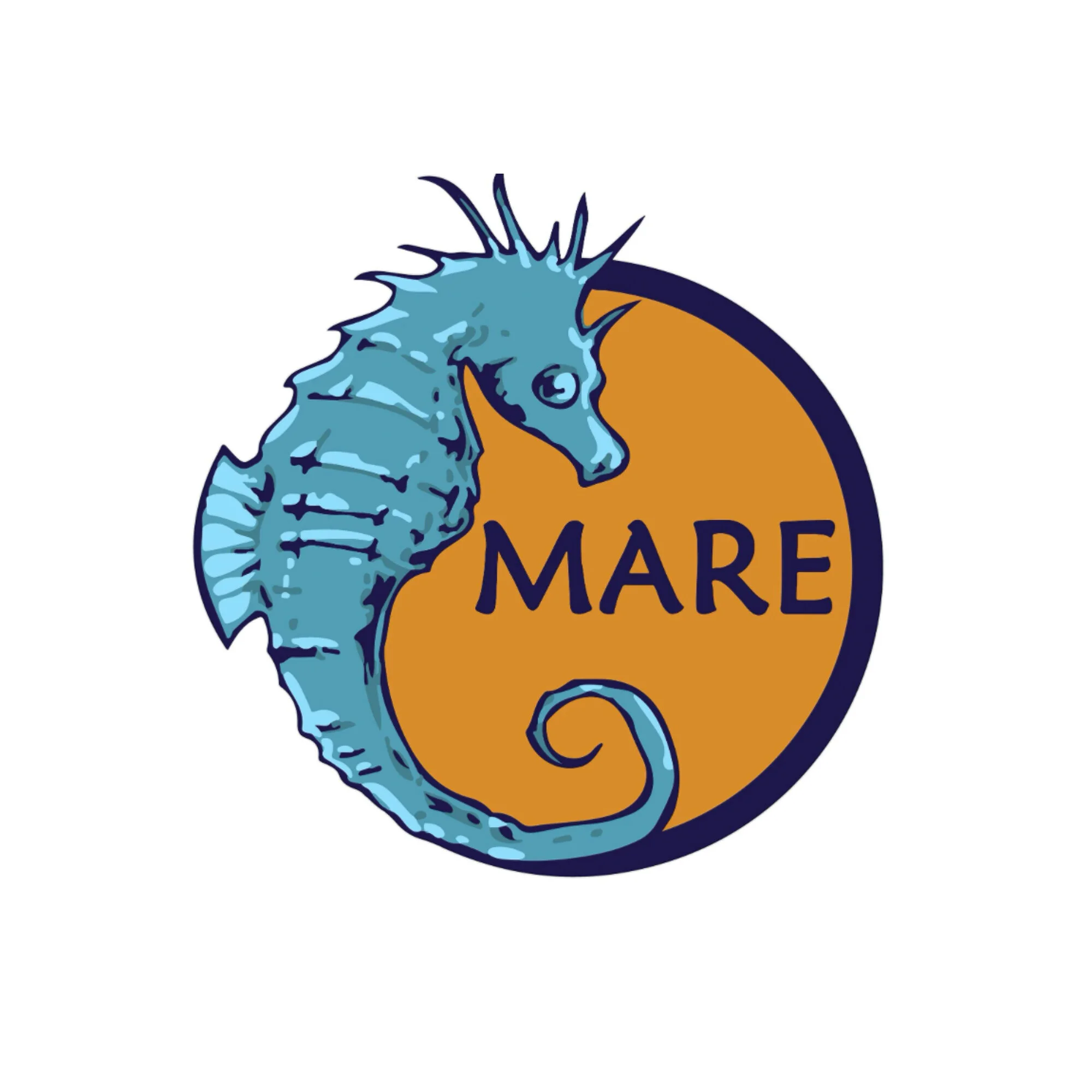 mare.jpg