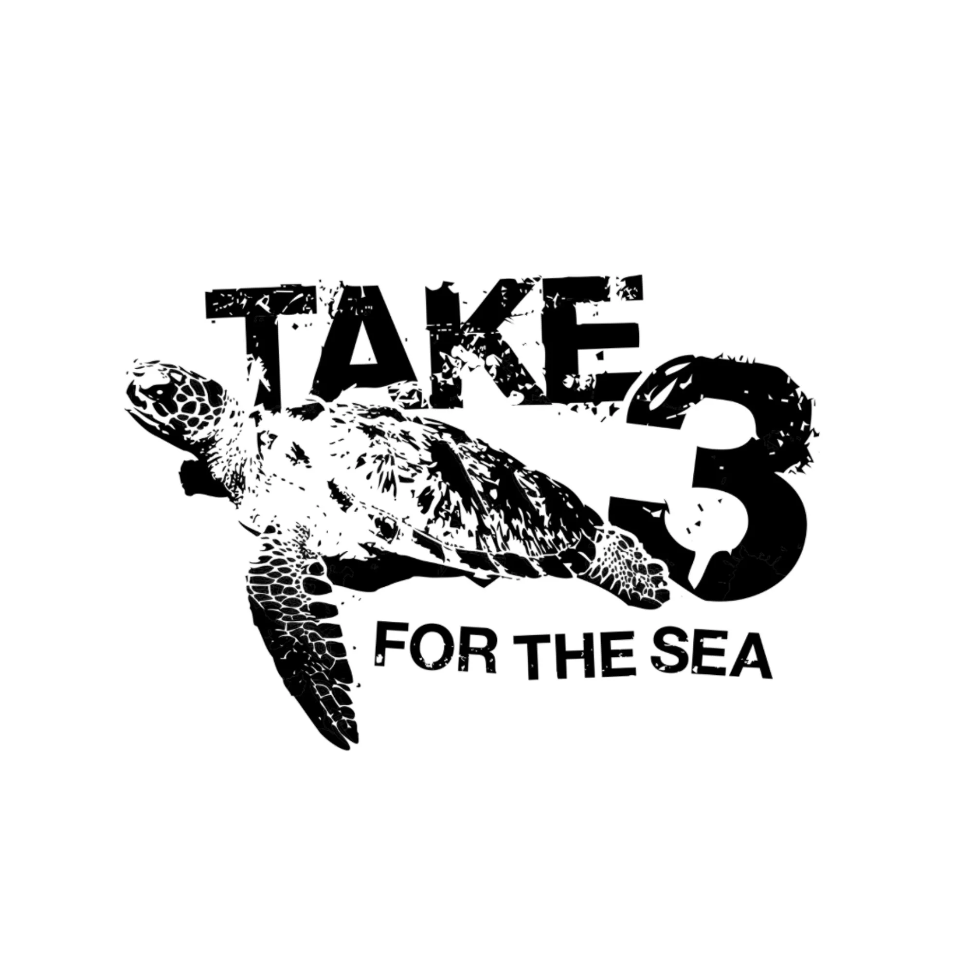 take 3 for the sea.jpg