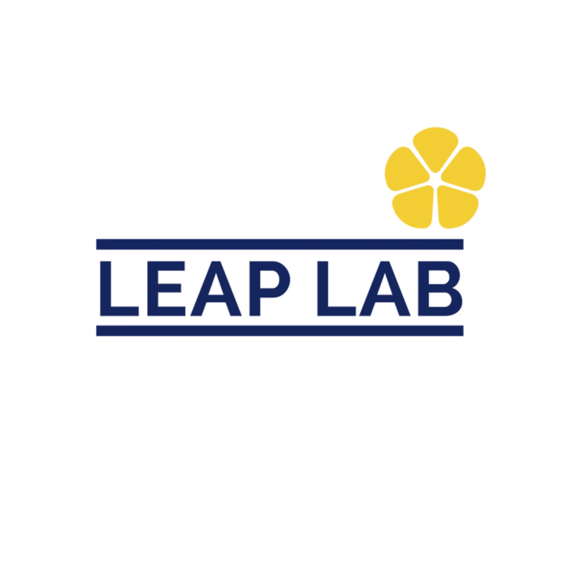 Leap Lab.jpg