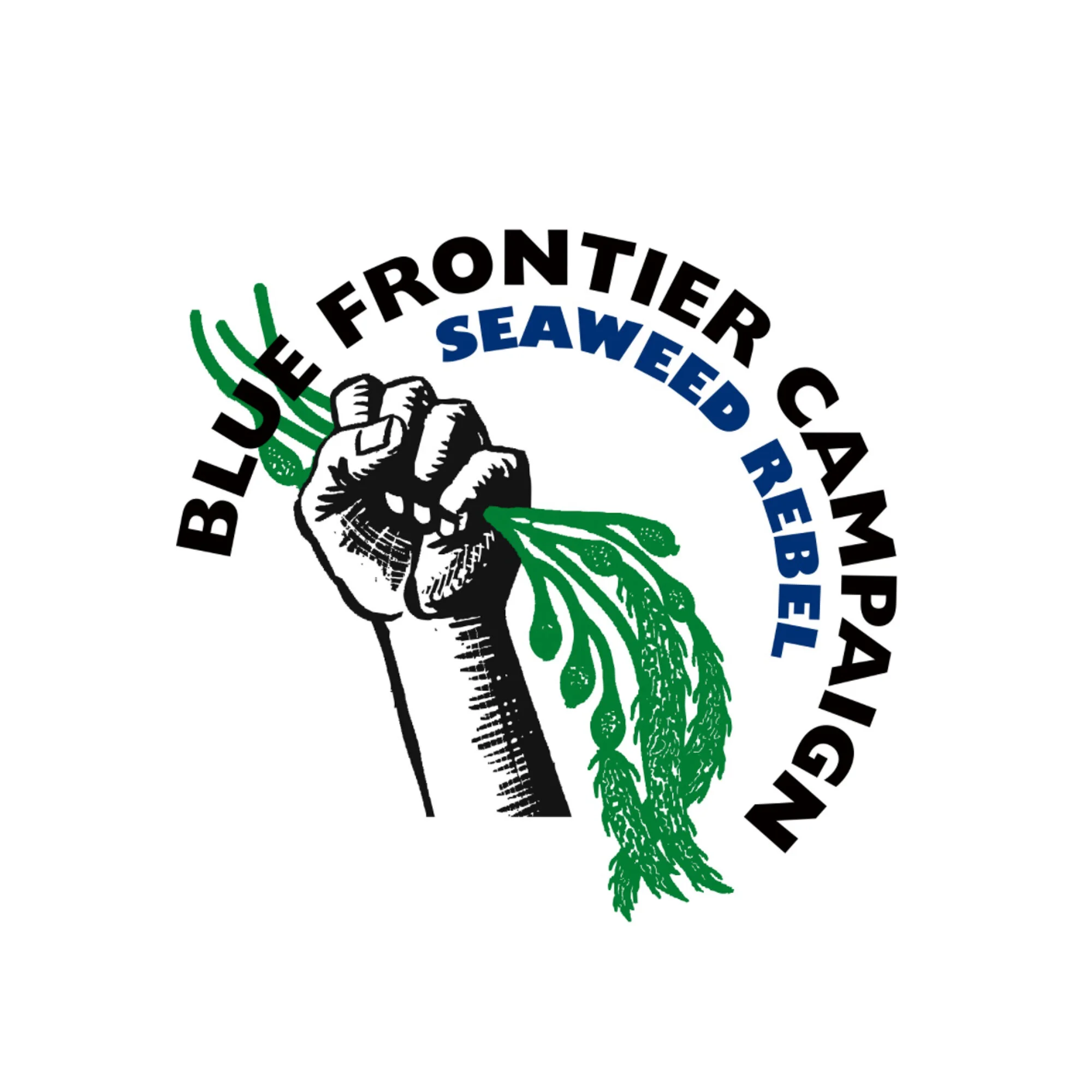 blue frontier campaign.jpg