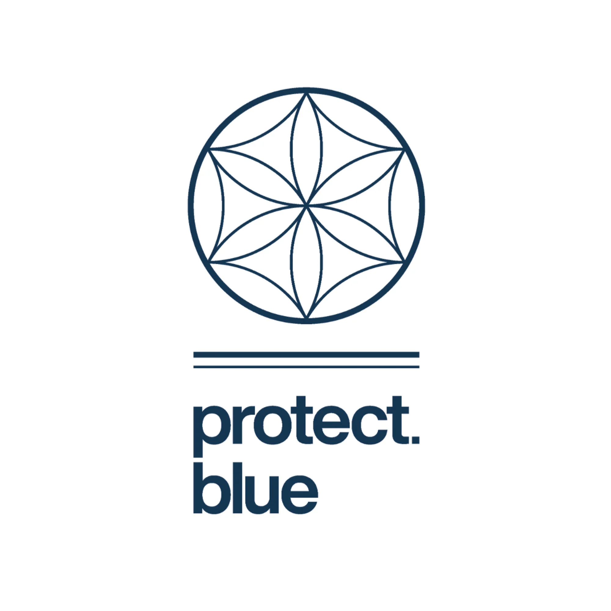 protect blue.jpg