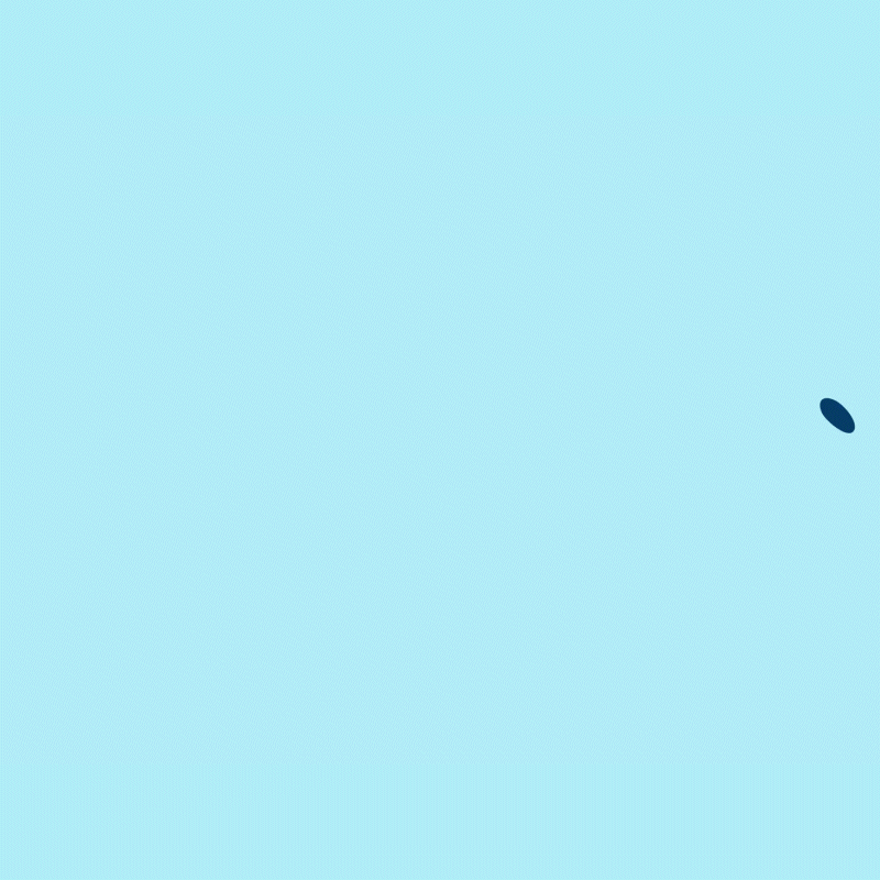 Dashing_Wash_Gif_Edit.gif