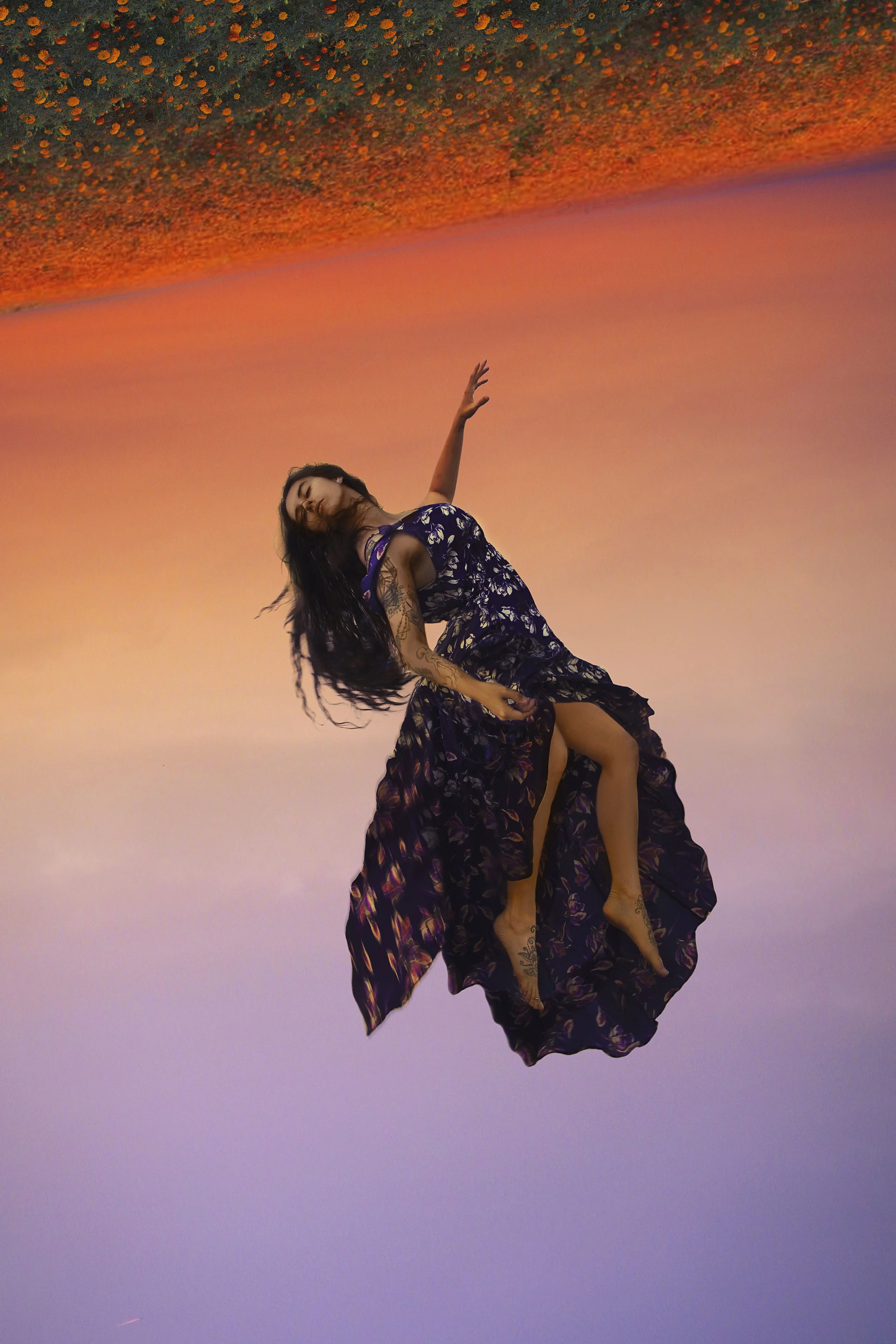 Marigold grief, 2025 remaster