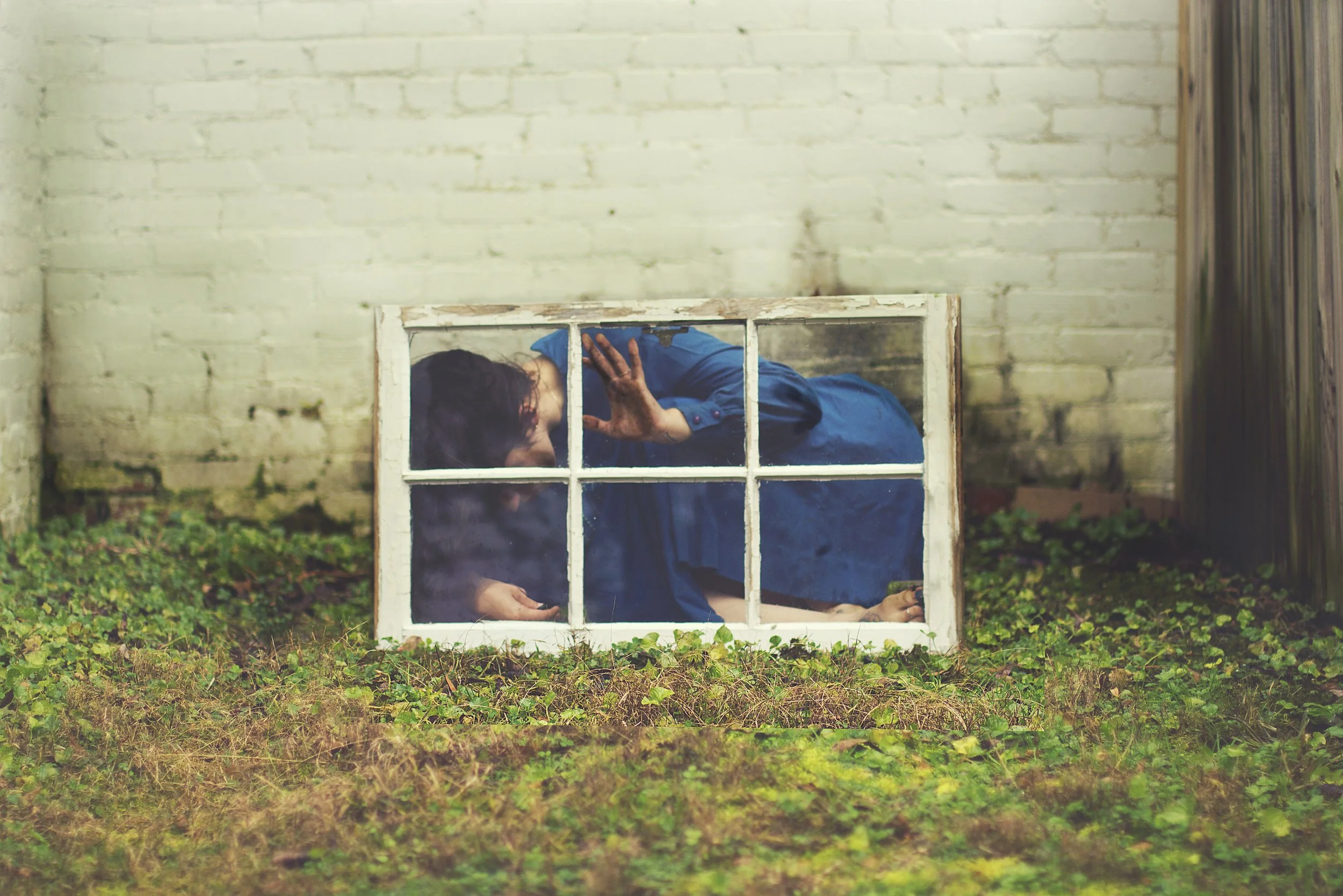 Trapped In Thought, 2017