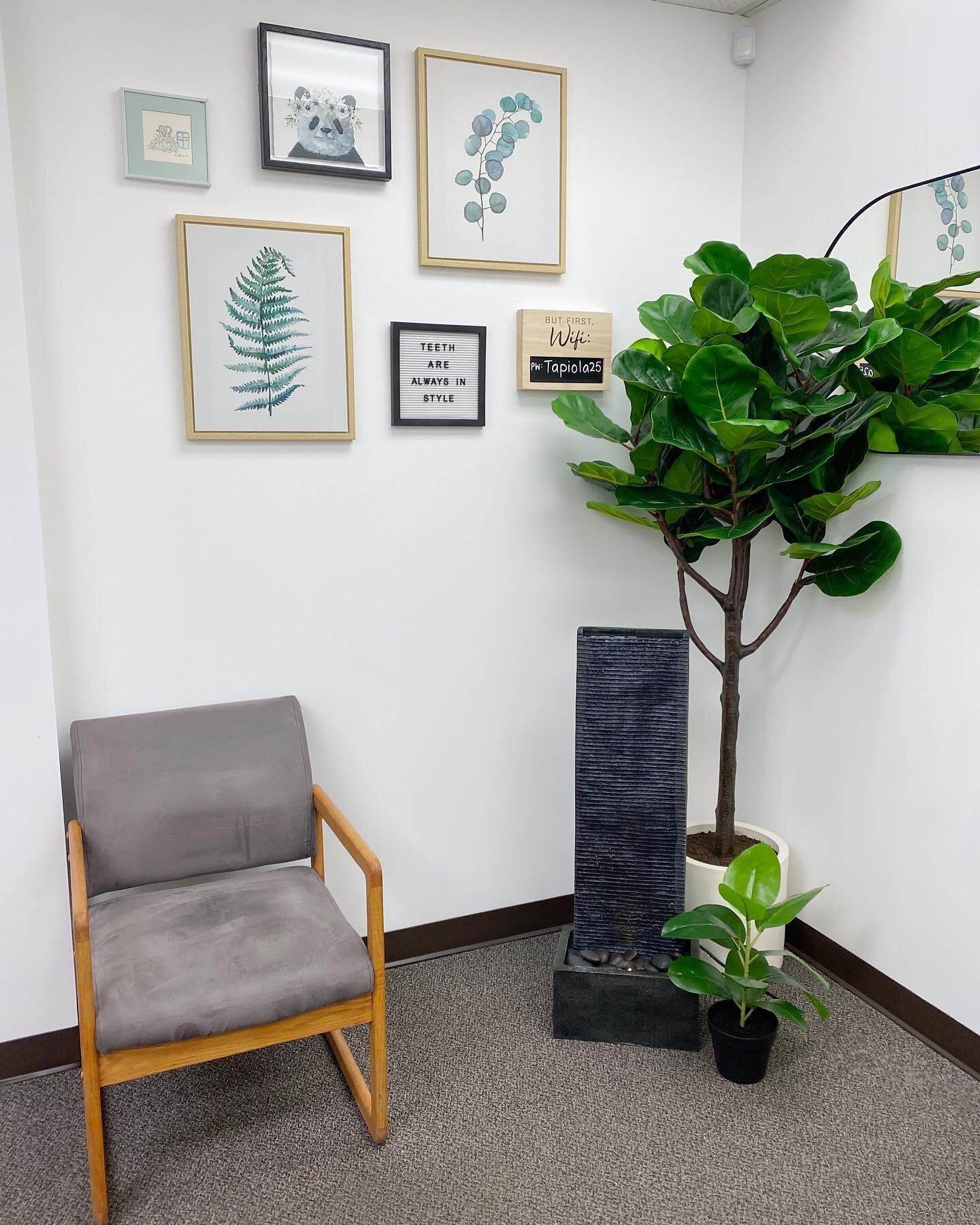 🌿 t r a n q u i l i t y 🌿
We revamped our waiting room to help set the tone for your visit to our practice. 💆🏻&zwj;♀️ We invite you to enjoy the accents of nature and sounds of a light waterfall for a calm and relaxing experience before and throu