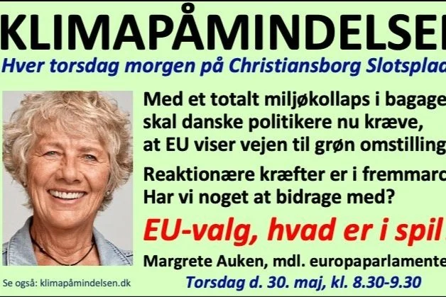EU-valg – hvad er i spil? 