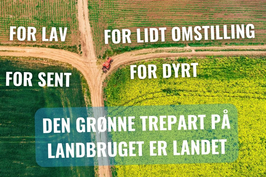 For lav. For sent. For lidt omstilling. For dyrt for danskerne. Klimaet blev svigtet i den grønne trepart. 