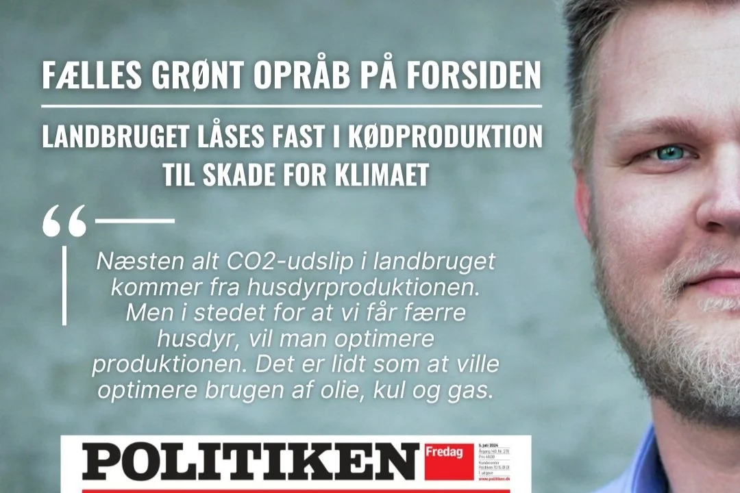 Åbent brev til politikerne fra grønne kræfter: Treparten låser landbruget fast i kødproduktion