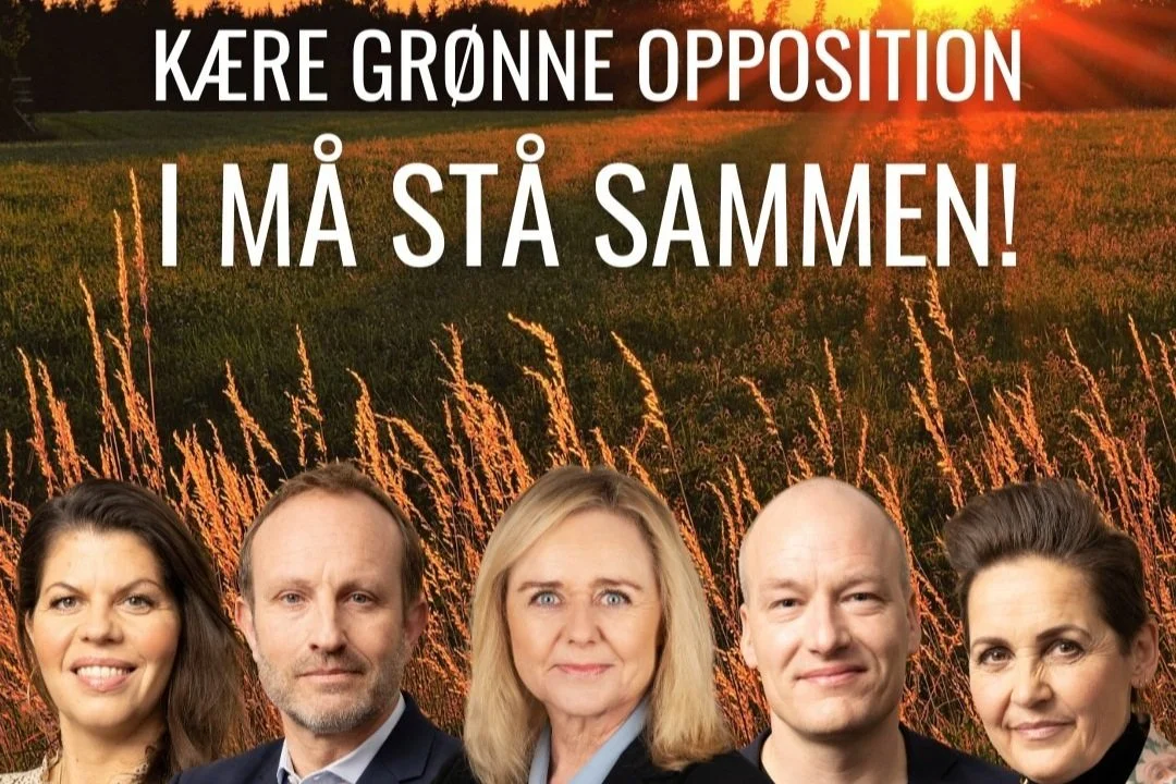 Kære oppositionspartier: I må stå sammen!
