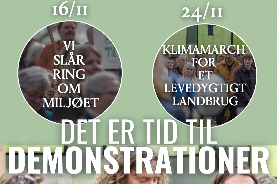 To vigtige demonstrationer, du skal med til!