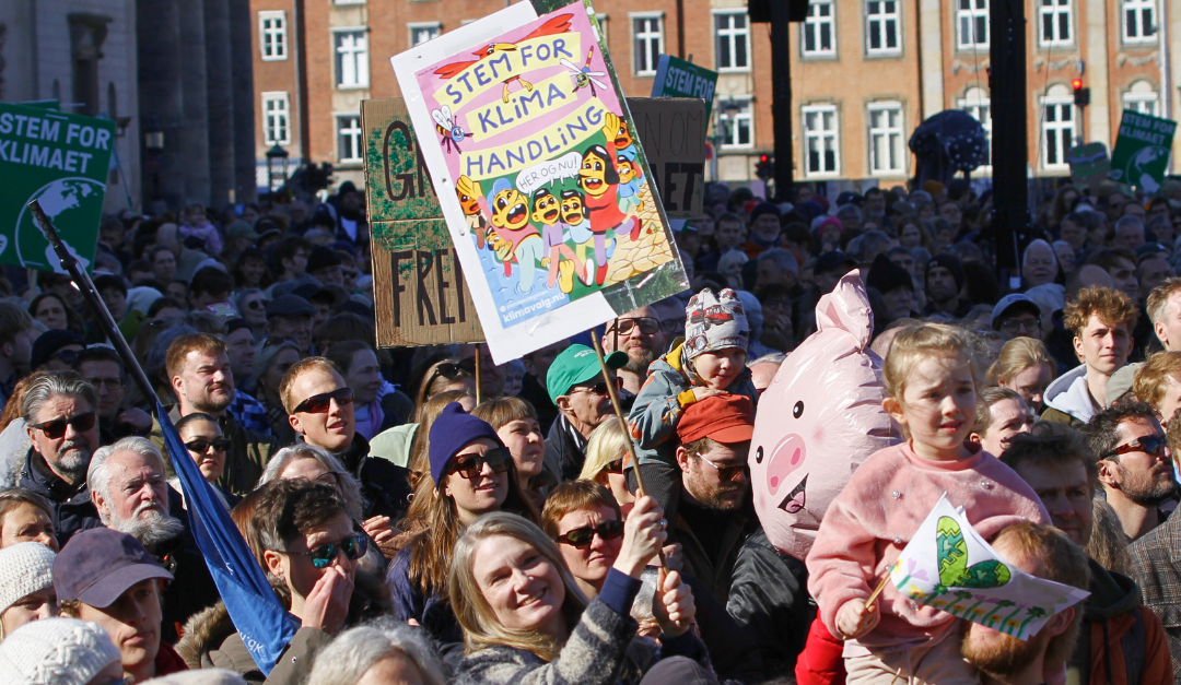 Sådan påvirkede Klimabevægelsen valget gennem lokal klimahandling