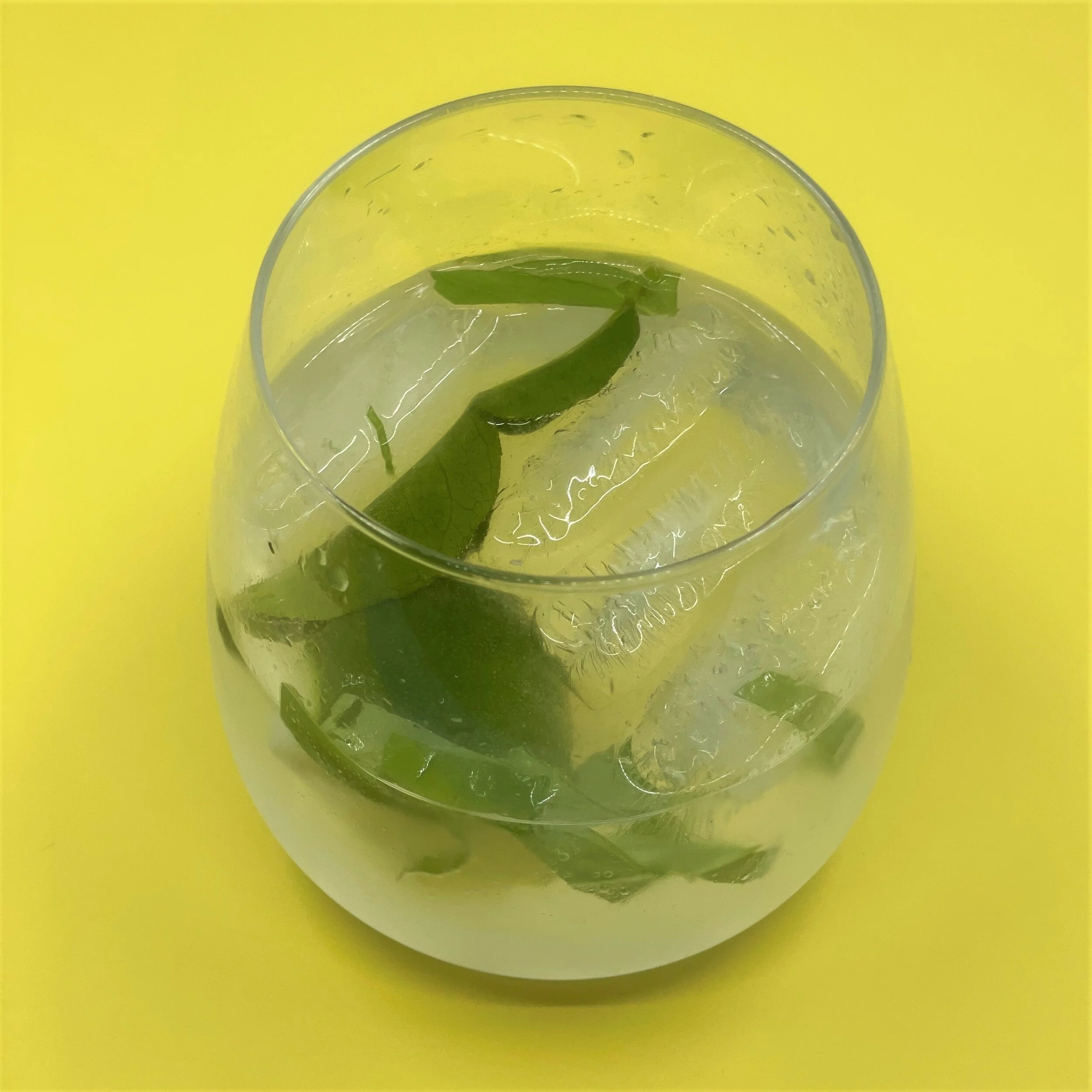 gin1.jpg