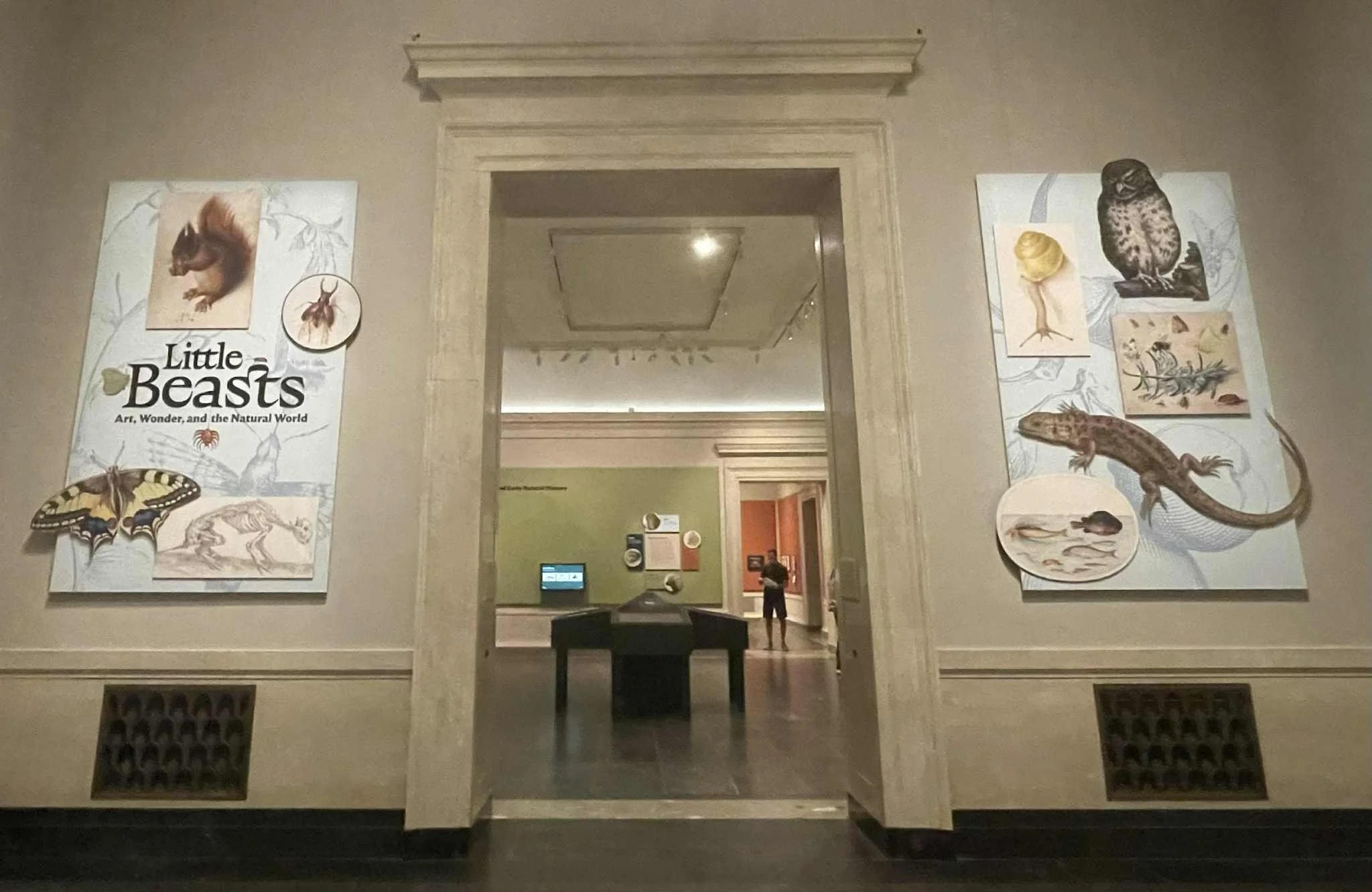 REVIEW: Little Beasts: “Art, Wonder, and the Natural World” at the National Gallery of Art