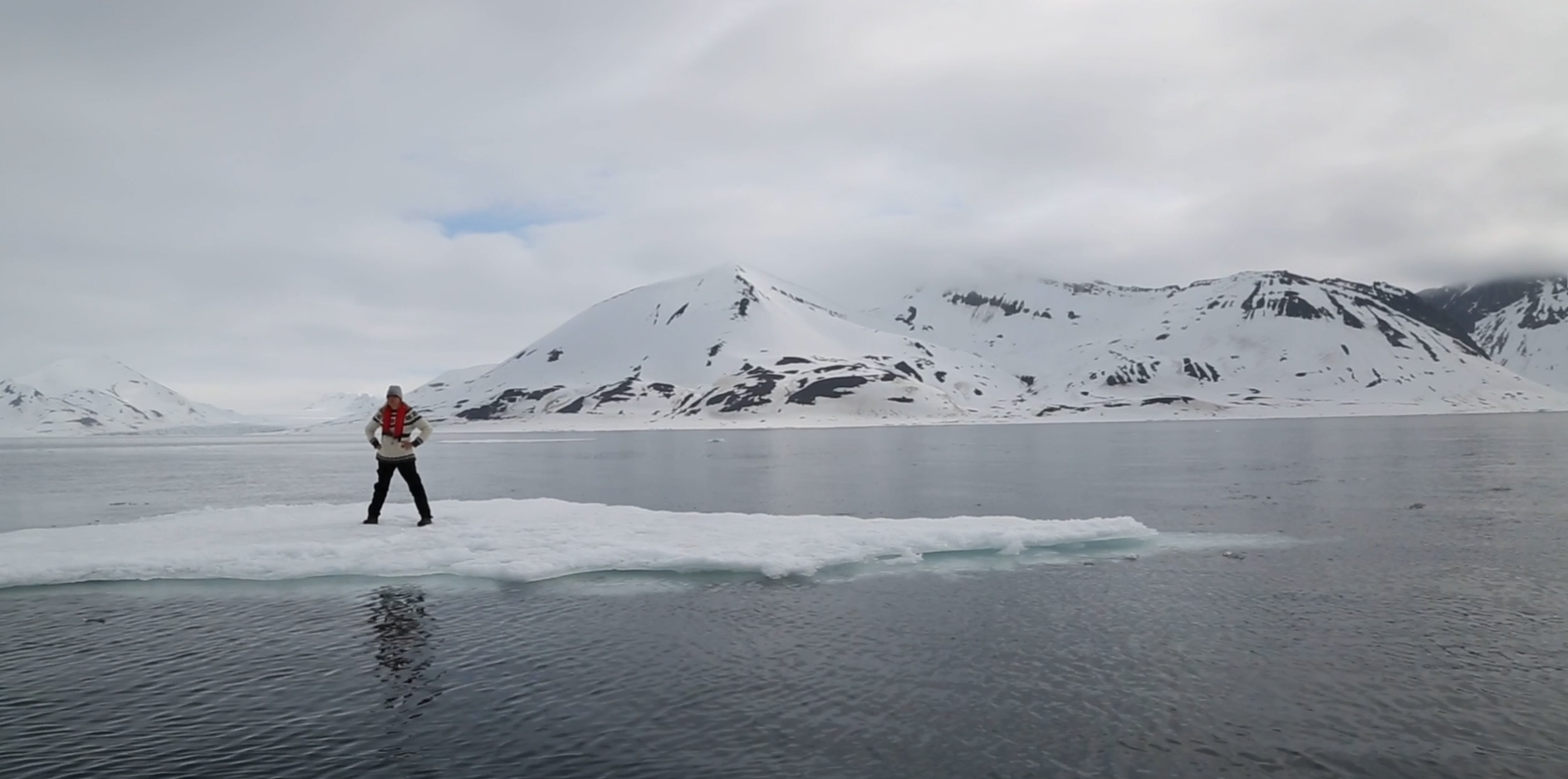 REVIEW: Julia Hechtman, “Acts of Disappearance: Environmental”