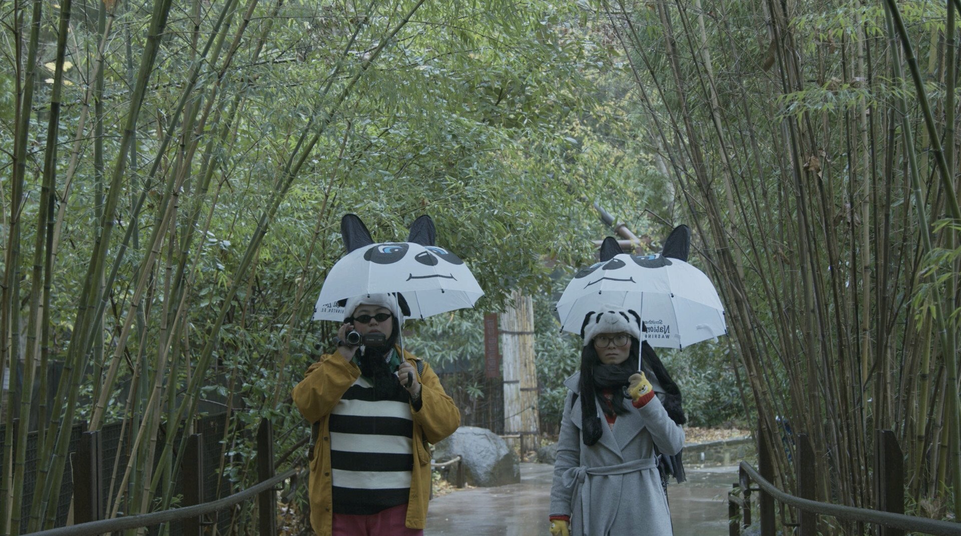 THIS WEEK’S FEATURED FILM PREMIERE: “Pandas Are Pandas” by Yuchi Ma