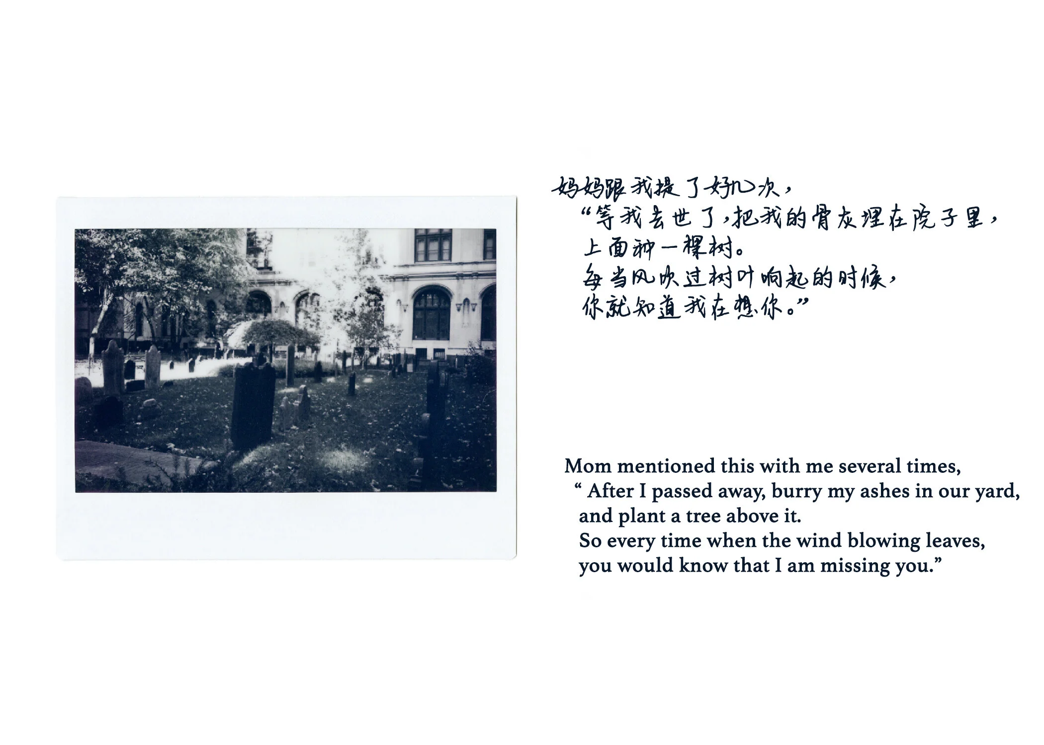 Instax-15.jpg