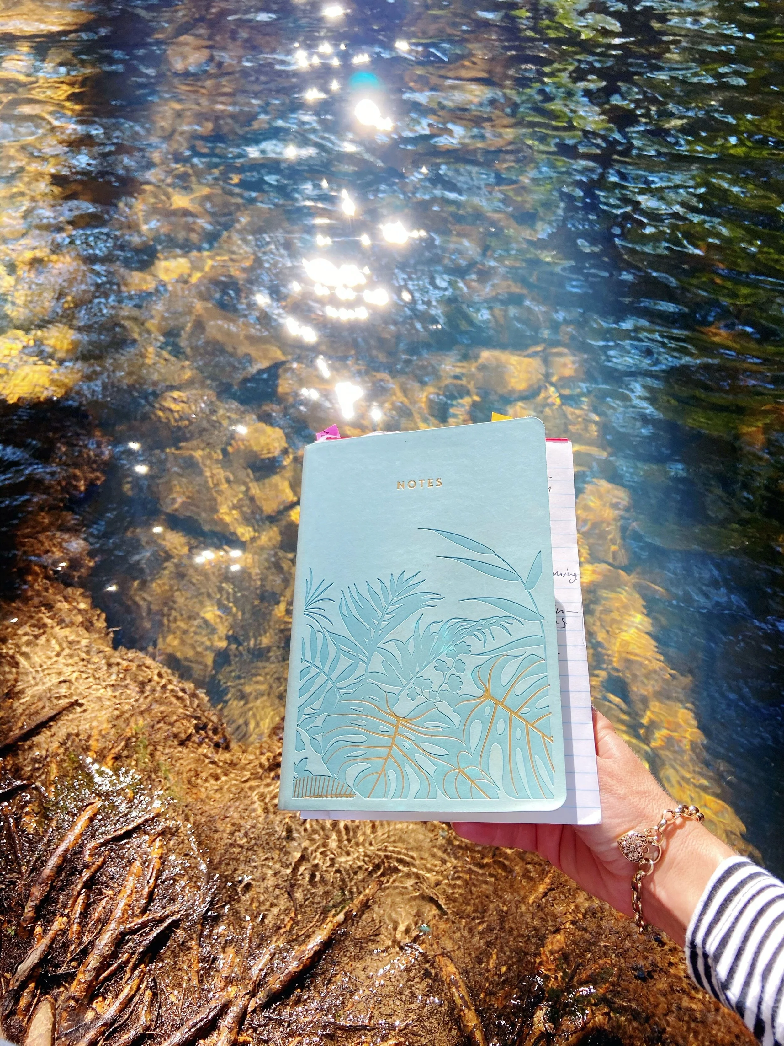 Dream first, write second