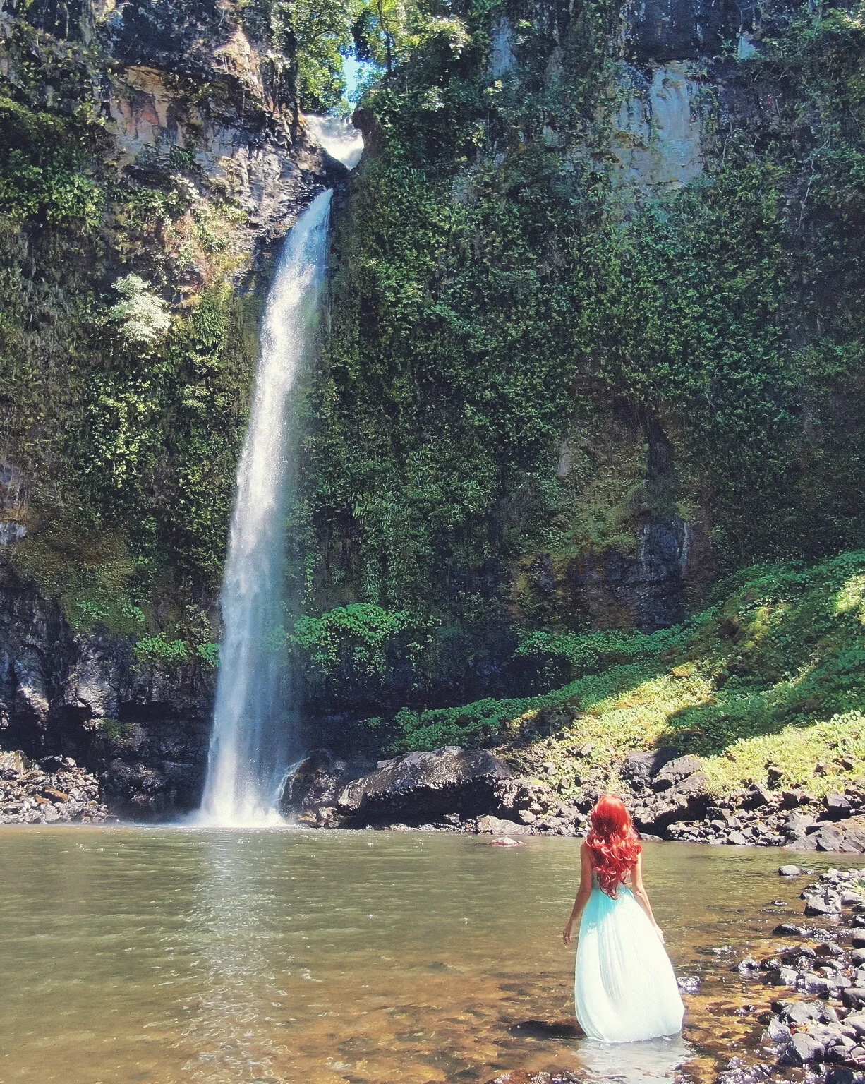 This Enchanted New Year