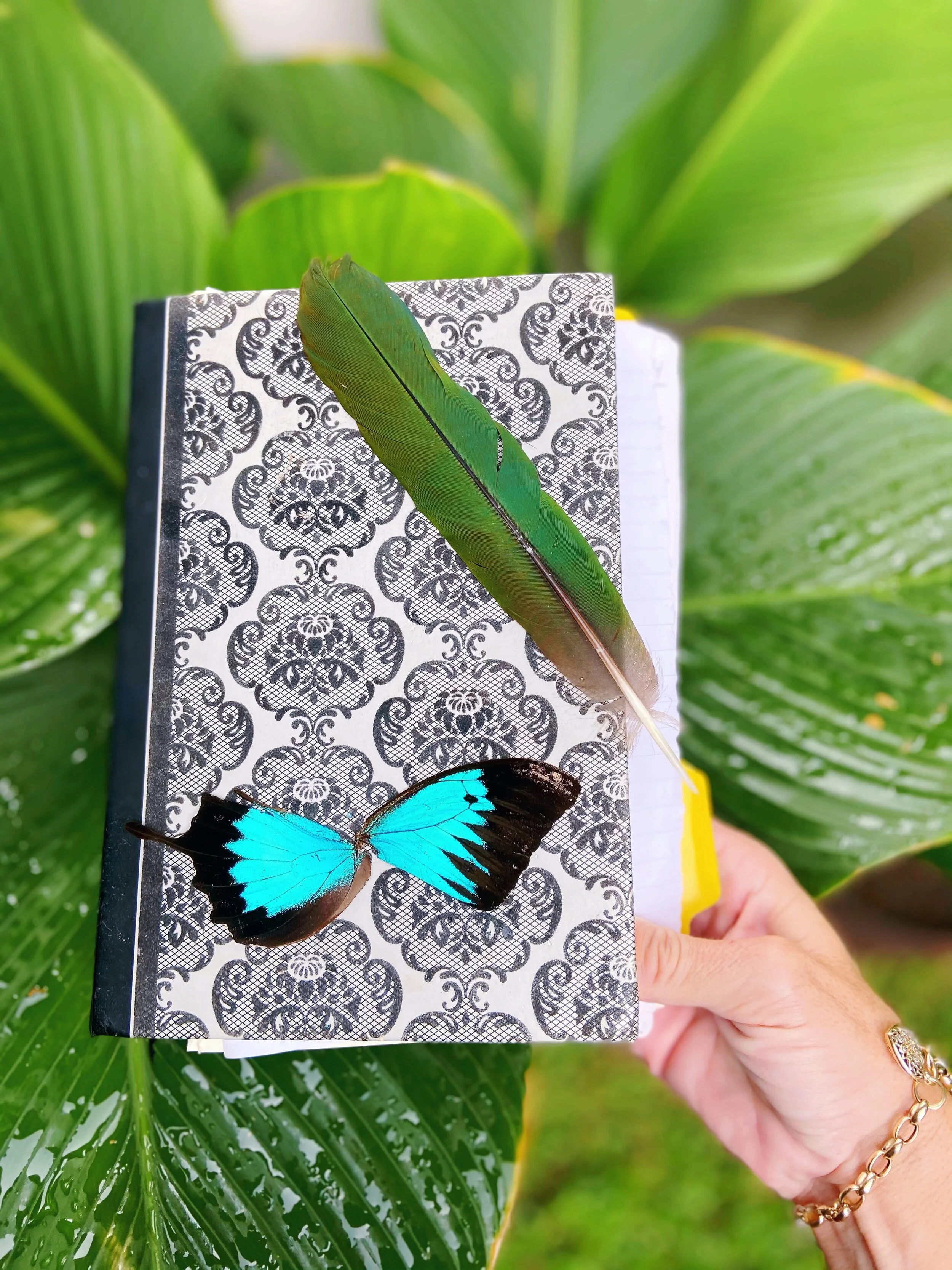 Mementos from a journey most magical