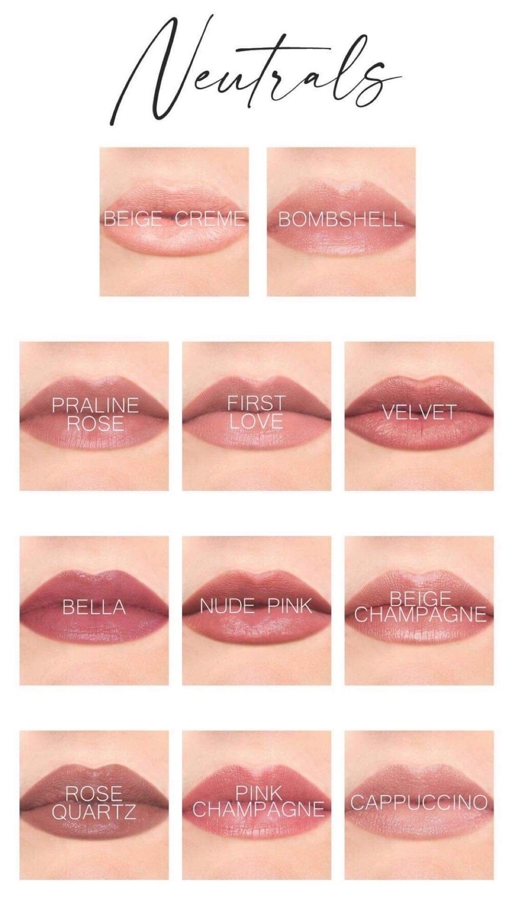 Lipsense Color Chart Sassy Zoom