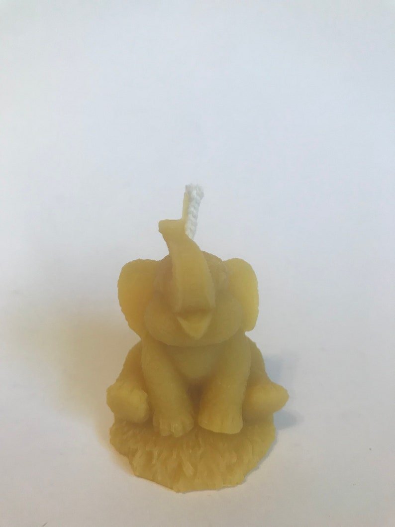 Elephant 3.jpg
