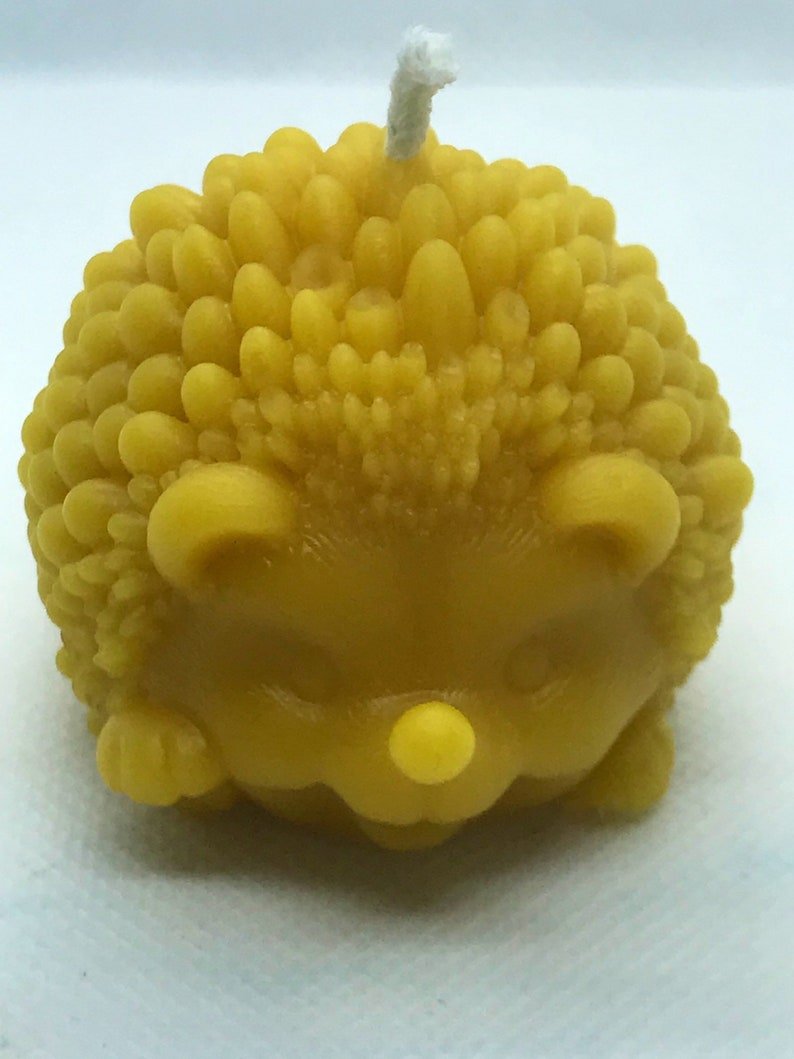 hedgehog 2.jpg