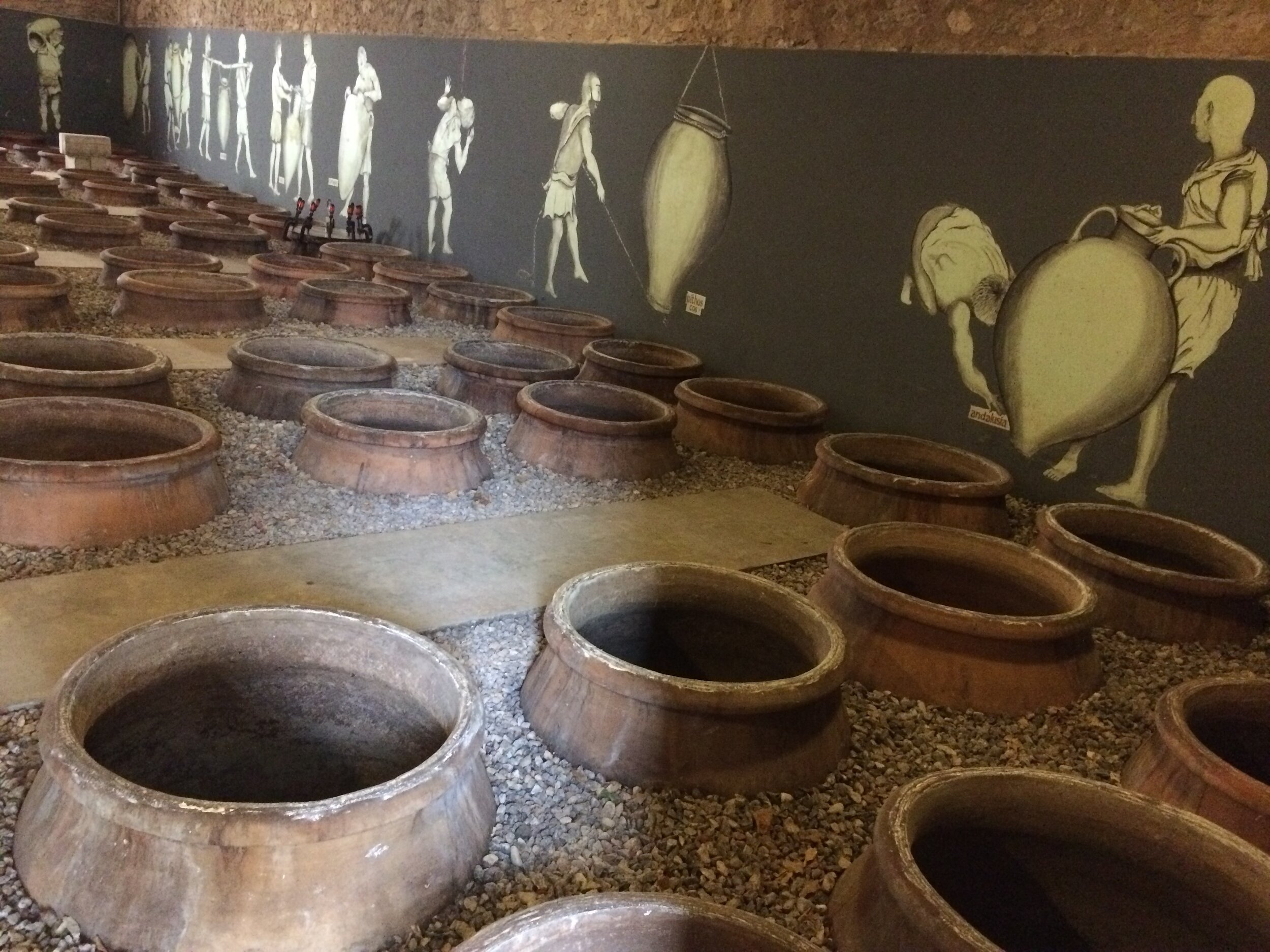 Amphoras Room @ COS Winery, Vittoria, Sicily (2017). 