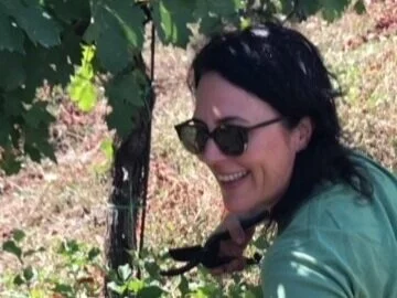 Oeno Wines