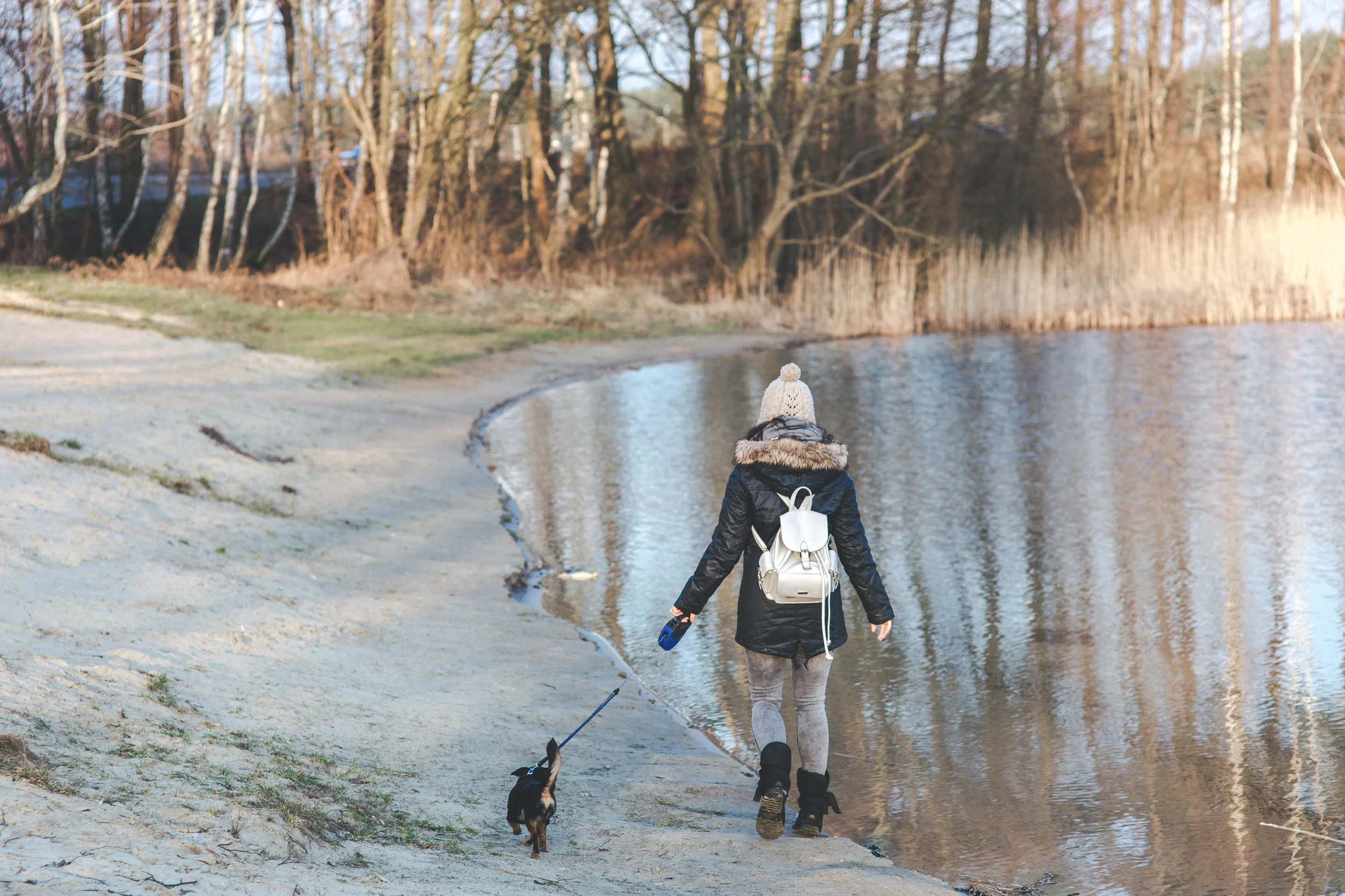 Person wearing winter clothes and a backpack walking away along a lake with their small dog on a leash.