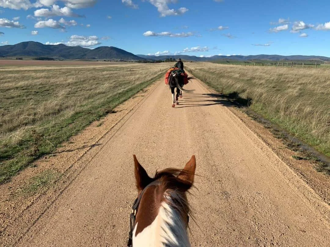 The Weekly Wrap-Up 3